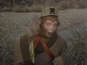 九齿钉耙为什么打不死孙悟空,孙悟空的金箍棒和9齿钉耙