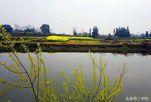 钓鱼人的一周生活,一个钓鱼人的一次完整垂钓过程