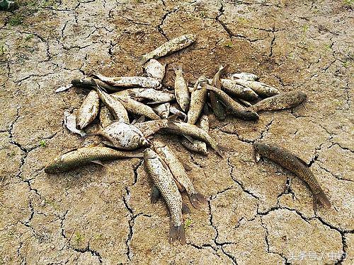 钓鱼人的一周生活,一个钓鱼人的一次完整垂钓过程