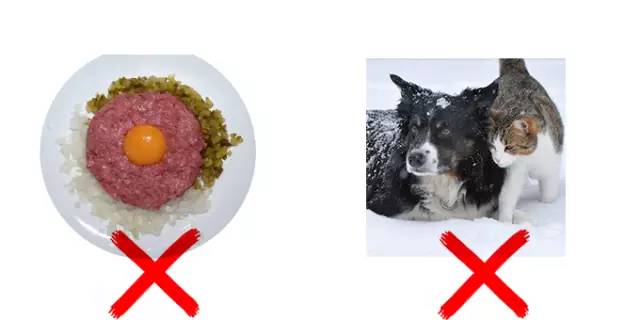 torch孕前筛查,怀孕八个月有必要做torch检查吗