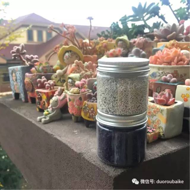太实用了！图解多肉的配土及用药！
