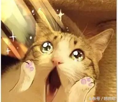 韩国代购中国药,韩国代购中药材