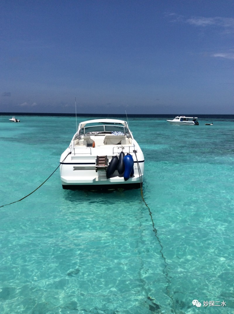 蹇冭摑娓呰繙,myblueheart