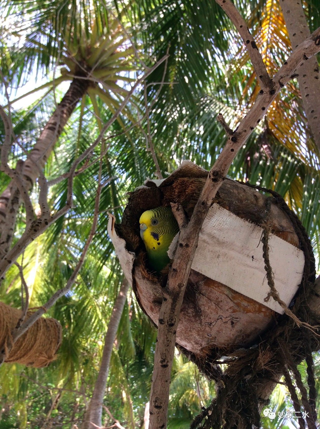 蹇冭摑娓呰繙,myblueheart