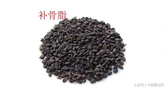 这草向阳处多见，不仅气味芳香，还是固精缩尿、温脾止泻好药！