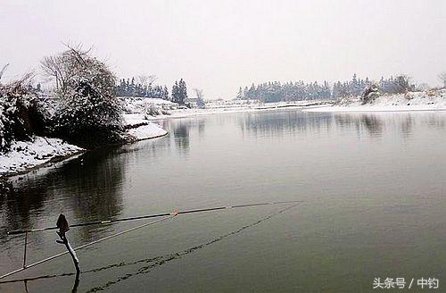 钓鱼人的一周生活,一个钓鱼人的一次完整垂钓过程
