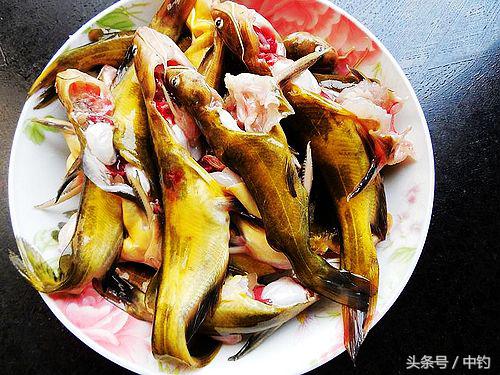 钓鱼人的一周生活,一个钓鱼人的一次完整垂钓过程