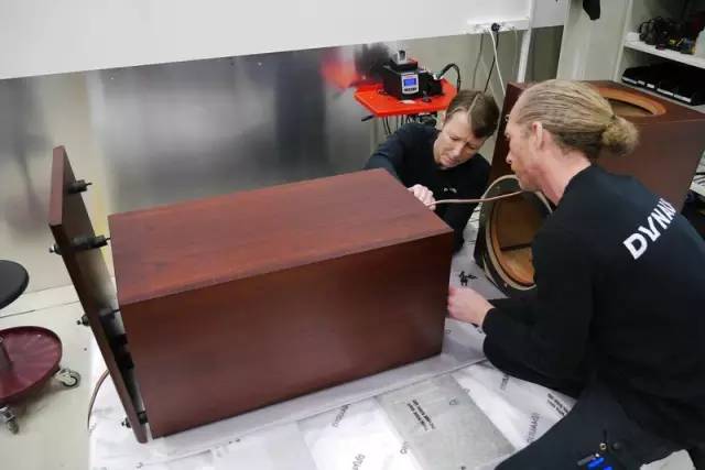 丹麦丹拿顶级音响多少钱,丹麦丹拿顶级音响家用