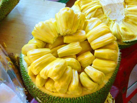 水果皇后菠萝蜜,菠萝蜜为什么叫水果皇后