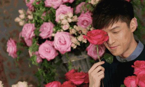 喜欢胡歌的女生什么性格,为什么女人都喜欢胡歌