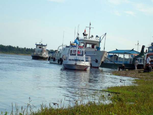 野钓鲫鱼打串钩自制竿架,老钓鱼人传授自制串钩和海竿架