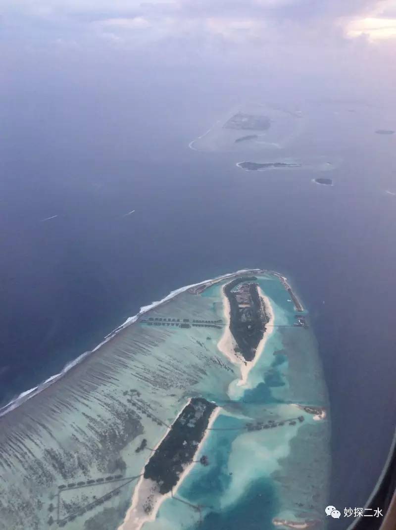 蹇冭摑娓呰繙,myblueheart