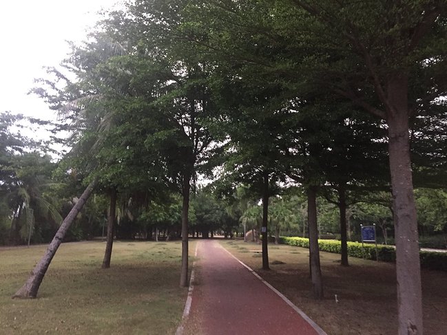 一家三口去三亚,一家三口三亚旅游图片