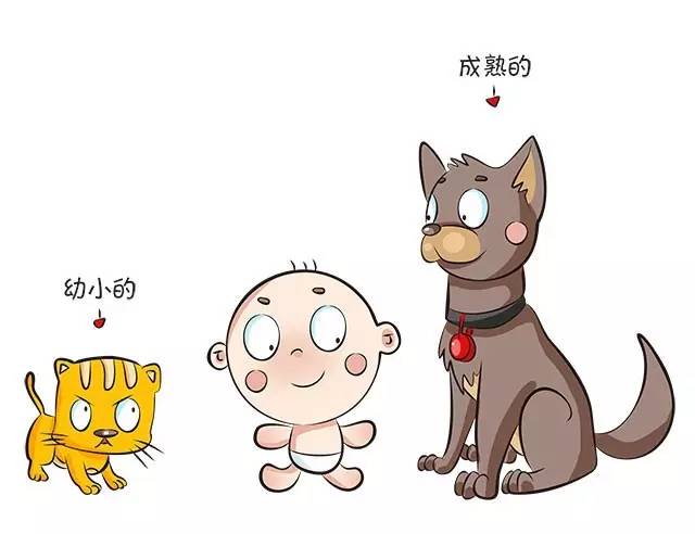 宝宝和喵星人,宝宝和汪星人谁厉害