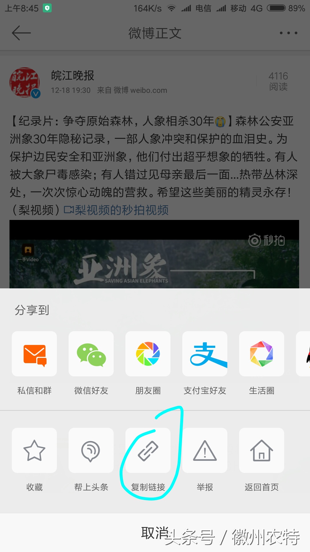 瑙嗛涓嬭浇绁炲櫒鑻规灉瀹夊崜閮藉彲浠ョ敤,鑻规灉瀹夊崜閮藉彲浠ヤ笅杞界殑瑙嗛杞欢