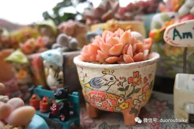 太实用了！图解多肉的配土及用药！