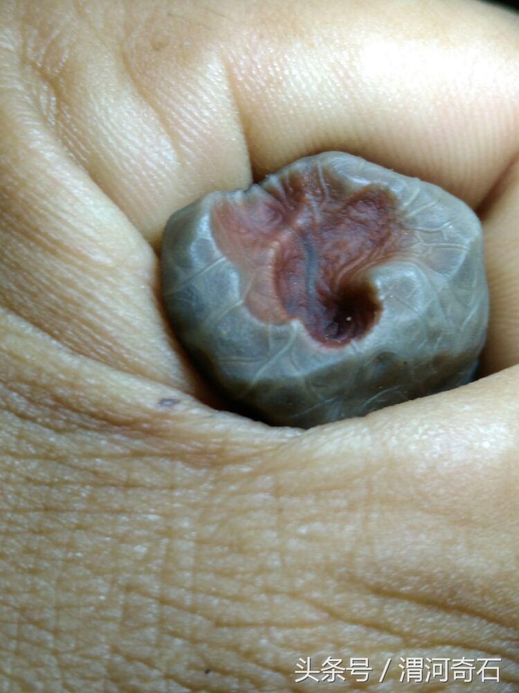 戈壁玛瑙温润如玉,心脏型戈壁玛瑙