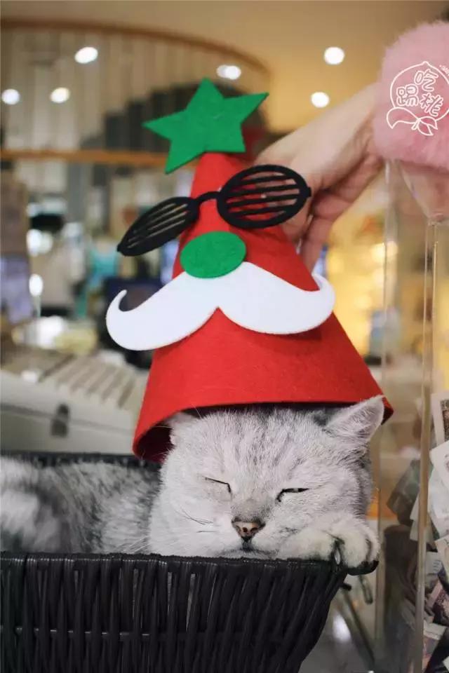 圣诞搞事啊！这杯咖啡竟好喝得我连杯子都吃掉了！