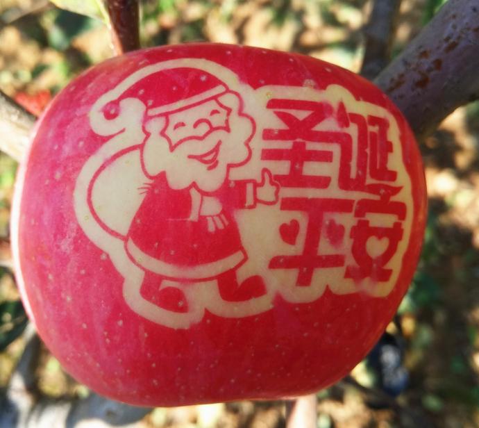 装平安果的盒子底部该怎么包装,卡纸做的平安果包装怎么做