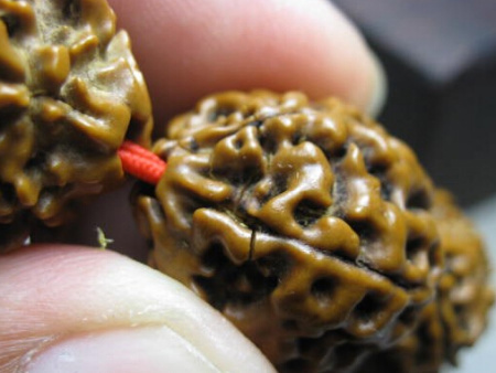 金刚为啥越玩裂缝越多,金刚总是开裂