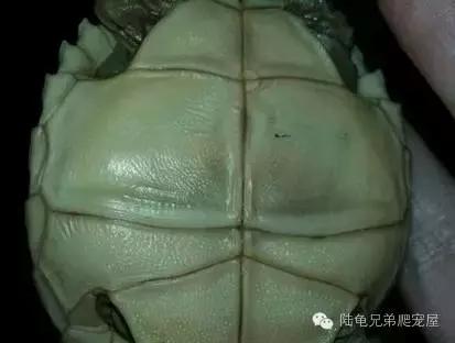 其实原因,其实所有的问题都源来于自身问题