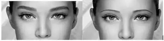 眉毛多浓密表示什么,眉毛重要性图片大全