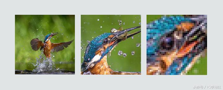 ps基础教程新手入门,苹果版ps基础教程新手入门