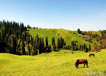 汉武帝时期装备碾压匈奴,汉武帝打匈奴军费