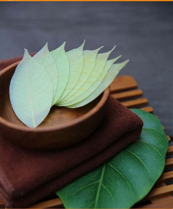 高级感的圣诞礼物推荐,100块钱的高端礼物