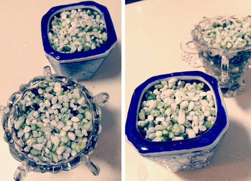 柚子的籽做成小盆栽的步骤,如何把吃剩下的柚子籽来种柚子