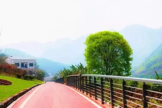 遵义是什么市的,遵义是一个什么地方