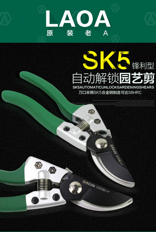 鍥灄鍓灊鍓垁,鍥灄缁垮寲鍓垁