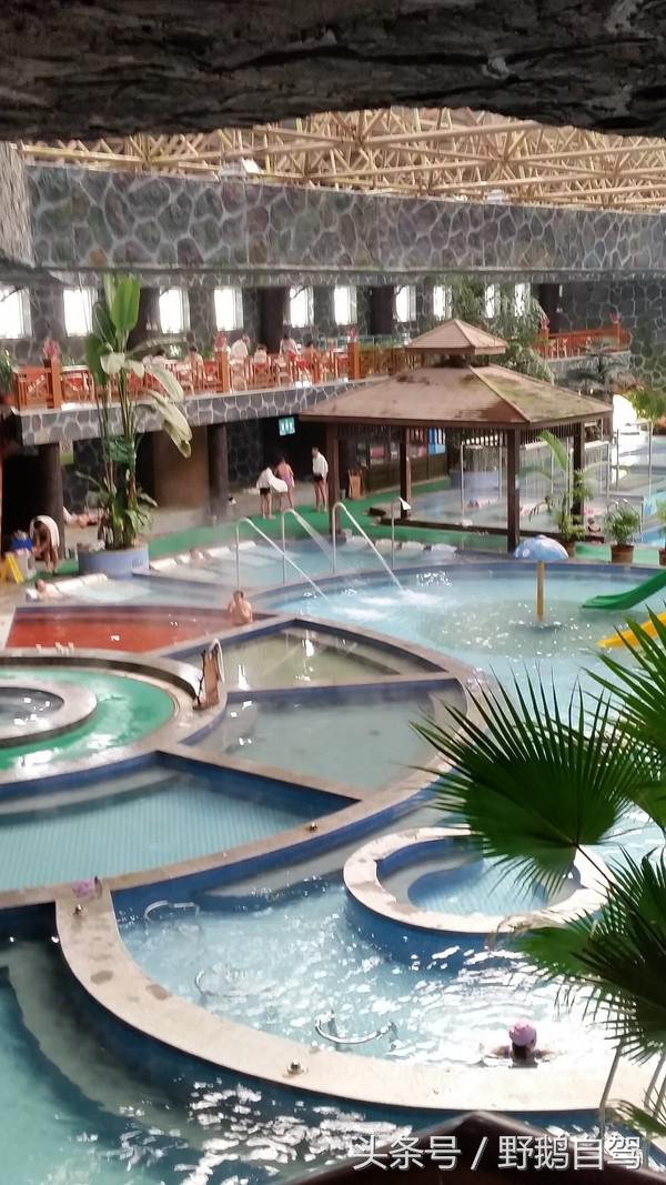 野鹅自驾红井路,野鹅自驾游最新视频