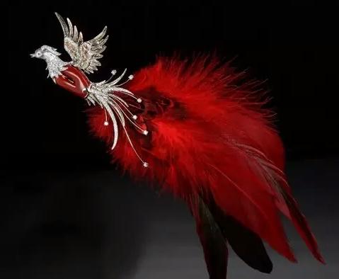 台湾红珊瑚哪里的好,台湾红珊瑚有升值空间吗