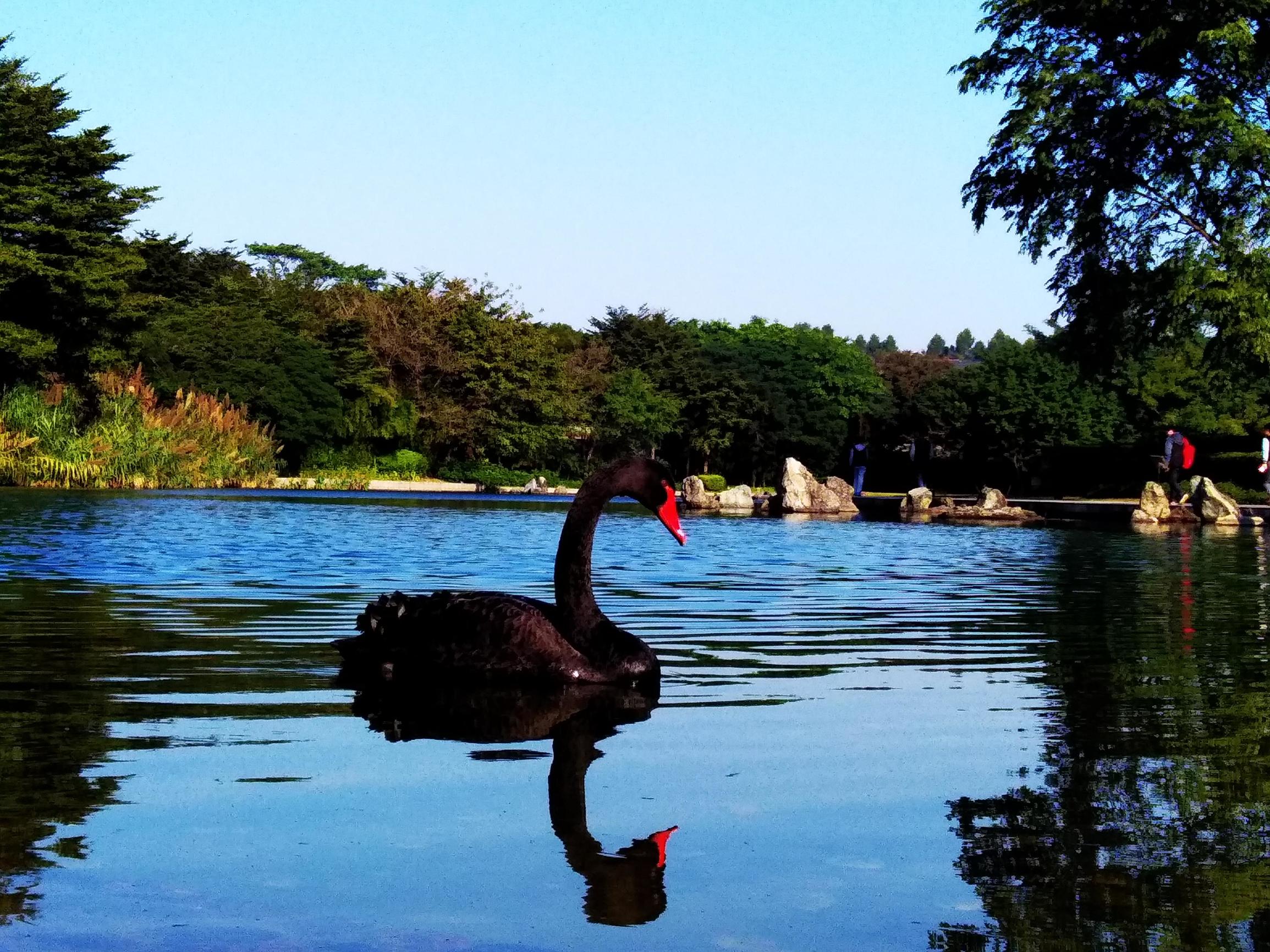 华为畅享6s的像素怎么样,华为畅享6拍照效果怎么样
