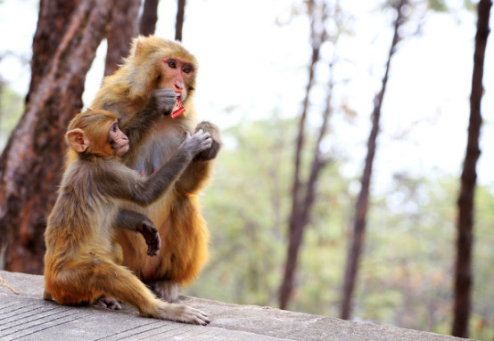 逃离雾霾去旅行,我们要逃离雾霾到美丽的岛屿过冬