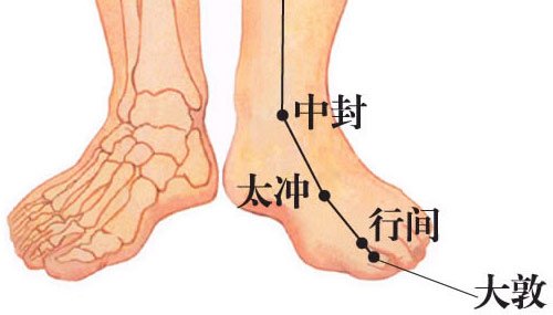 按什么穴位可以治疗脂肪肝,哪些穴位扎针可以治疗脂肪肝