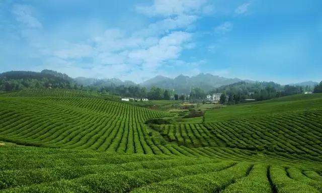 遵义是什么市的,遵义是一个什么地方