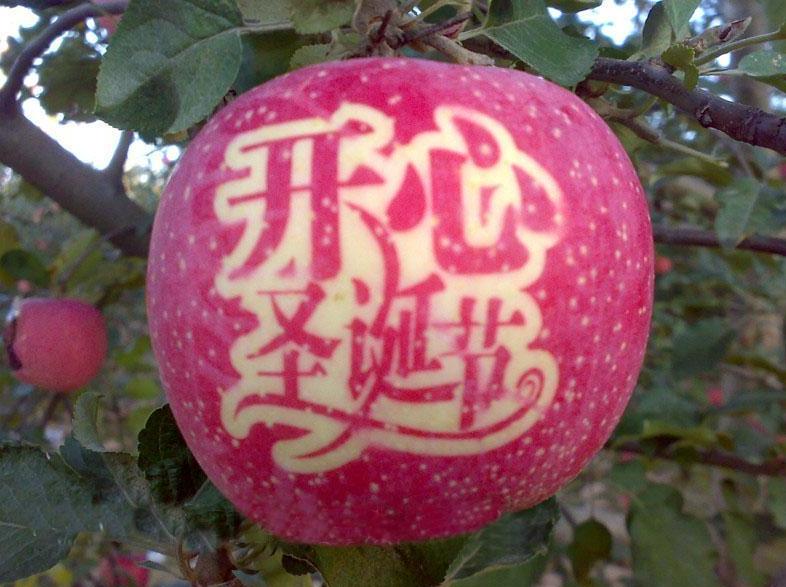 装平安果的盒子底部该怎么包装,卡纸做的平安果包装怎么做