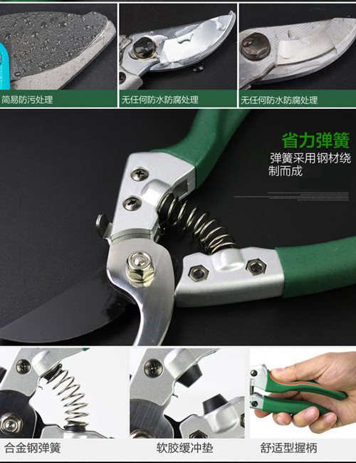 鍥灄鍓灊鍓垁,鍥灄缁垮寲鍓垁