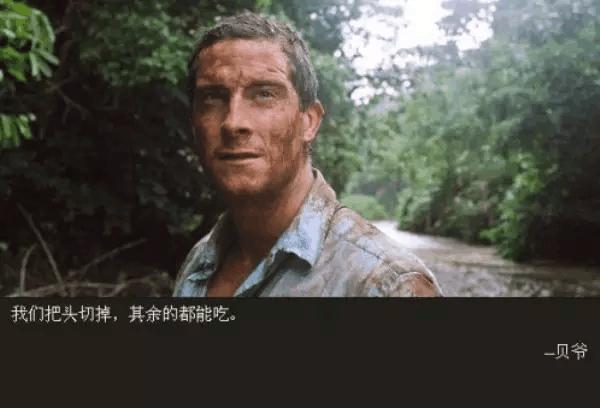 勇者游戏围观者,勇者游戏战术竞技