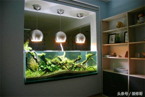 鱼缸禁忌摆放位置图,鱼缸的摆放位置禁忌要关注什么