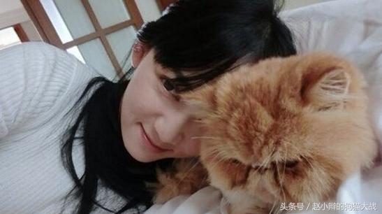 喵星人和主人睡一起,喵星人有多种情绪