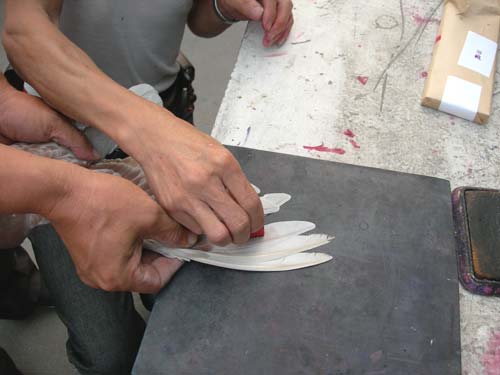 信鸽比赛全过程记录,信鸽比赛归巢全过程视频