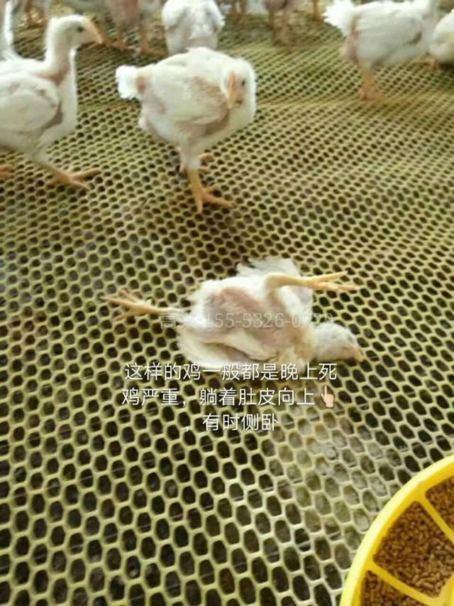 左肺支气管堵塞严重能治愈吗,支气管堵塞怎么快速消除