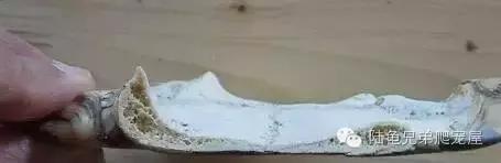 其实原因,其实所有的问题都源来于自身问题