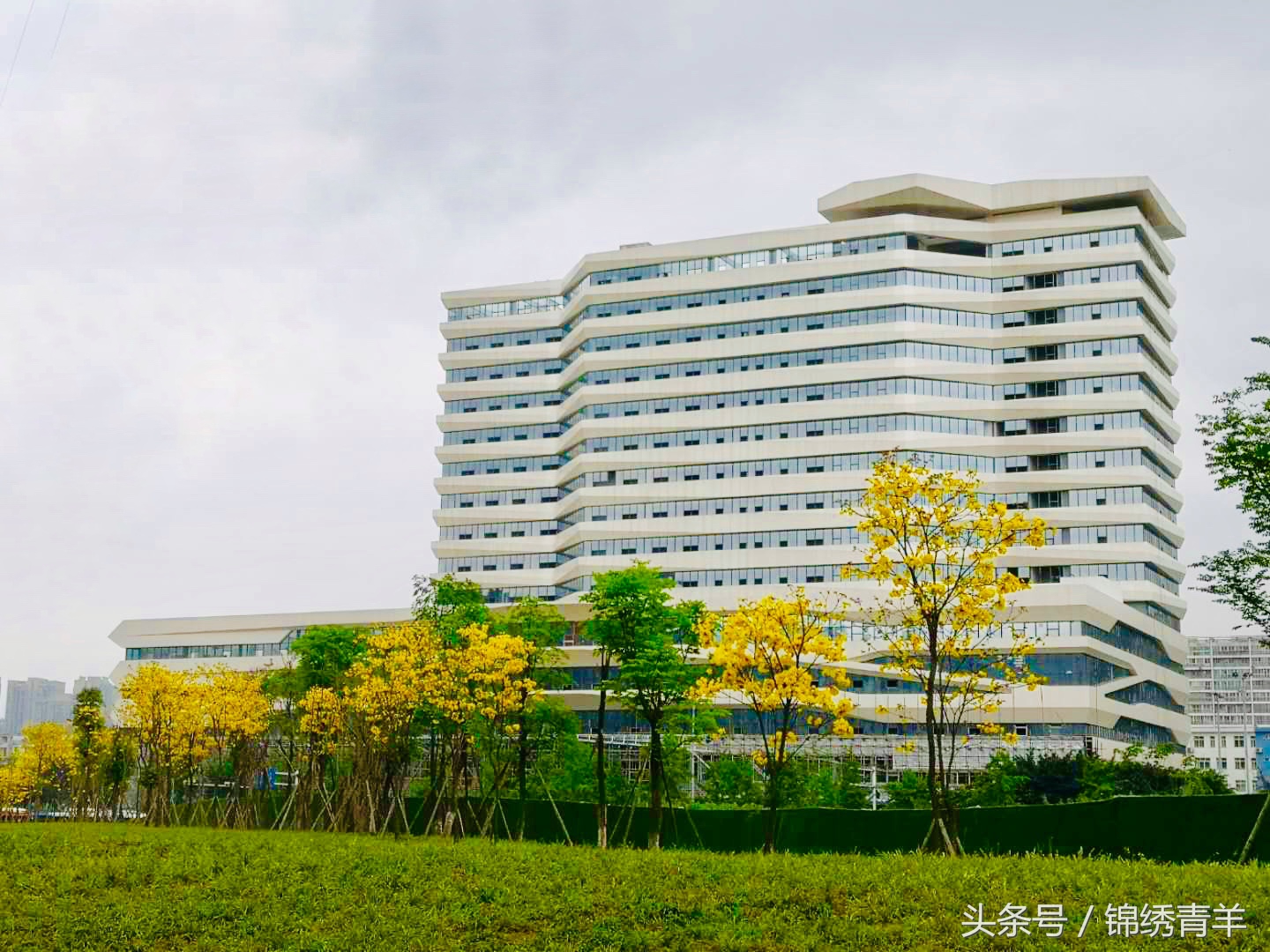 成都市第一骨科医院哪个院区好,成都骨科医院最新消息