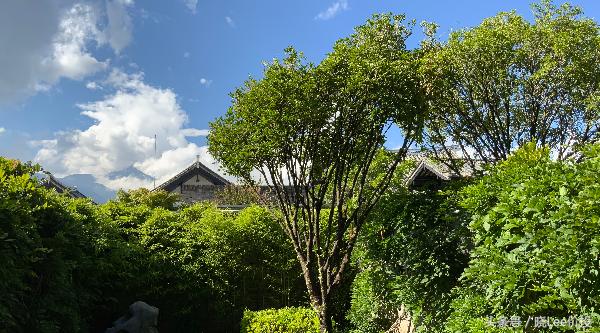 员工睡觉赚钱的公司,哪些项目可以实现睡后有收入