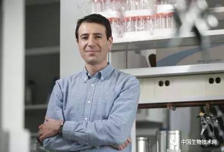 青蒿素抗疟效果的研究,青蒿素胶囊治结核吗