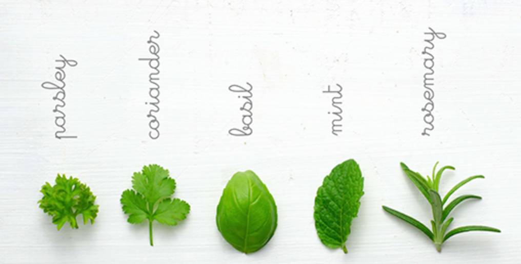 米其林顶级甜品,米其林奢侈甜品